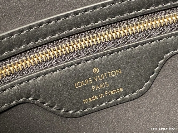 Fake Louis Bags TWINNY LOUIS VUITTON 0729
